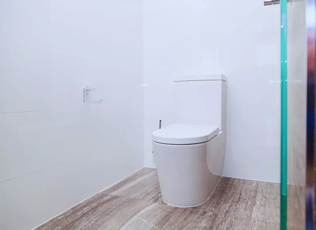 Remplacement de wc Tourrette-Levens