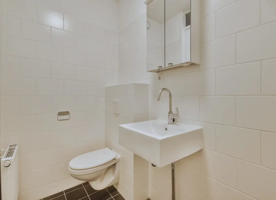 Pose WC Suspendu Tourrette-Levens